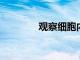 觀察細胞內分子的秘密生命