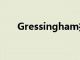 Gressingham推出健康的土耳其漢堡