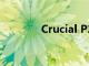 Crucial P2 SSD價格合適嗎