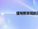 緬甸新發現的靈長類動物已經面臨滅絕