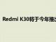 Redmi K30將于今年推出而K30 Pro可能會(huì)在2020年到貨