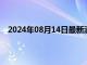 2024年08月14日最新消息：8月13日現(xiàn)貨白銀晚盤(pán)預(yù)測(cè)