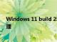 Windows 11 build 25126 在設(shè)置中提供了更好的訂閱管理