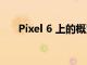 Pixel 6 上的概覽小部件即將變得更好