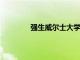 強生威爾士大學為成人提供免費烹飪課程
