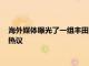 海外媒體曝光了一組豐田酷路澤皮卡版的渲染圖引發了網友們的熱議
