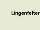 Lingenfelter 制造雪佛蘭電動汽車