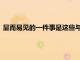顯而易見(jiàn)的一件事是這些與最近推出的聯(lián)想Z6Pro設(shè)計(jì)并不相符