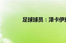 足球球員：澤卡伊球員信息以及位置表現