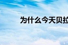 為什么今天貝拉米的股價下跌7％