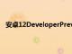 安卓12DeveloperPreview2.2現(xiàn)在正在向像素設(shè)備推廣