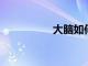 大腦如何優化資源分配