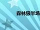 森林狼半場打爆魔術領先30分
