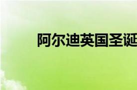 阿爾迪英國圣誕節銷量增長10.6％