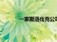 一家斯洛伐克公司制造了一款原型飛行汽車
