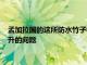 孟加拉國的這所防水竹子學校可以解決因氣候變化導致海平面上升的問題