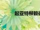 起亞特柳賴德獲得世界汽車大獎