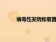 病毒性發燒和細菌性發燒有什么區別在哪里呢