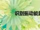 識別振動能量收集器的微觀機制
