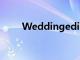 Weddingedit私密婚禮的流行趨勢