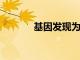 基因發現為口吃者帶來新希望