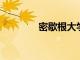 密歇根大學麥城任命新院長