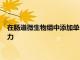在腸道微生物組中添加單一類型的細菌可增強小鼠的抗腫瘤免疫力