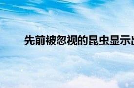 先前被忽視的昆蟲顯示出有望作為替代蛋白質來源