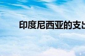 印度尼西亞的支出增長支持增長動力