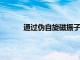 通過偽自旋磁振子在反鐵磁體中進行信息傳輸
