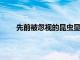 先前被忽視的昆蟲顯示出有望作為替代蛋白質來源