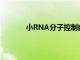 小RNA分子控制幽門螺桿菌的主要致病因子