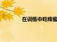在訓(xùn)練中吃蜂蜜的運(yùn)動(dòng)員具有更高的耐力