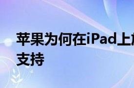 蘋果為何在iPad上放棄對(duì)MagicMouse2的支持