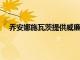 喬安娜施瓦茨提供威廉瑪麗法學院的年度喬治威斯講座