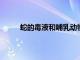 蛇的毒液和哺乳動物的唾液蛋白有著共同的起源