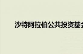 沙特阿拉伯公共投資基金將收購帕加尼30%的股份
