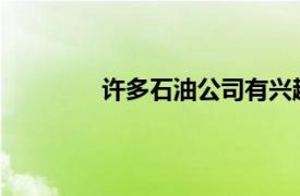 許多石油公司有興趣探索挪威的成熟地區