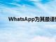 WhatsApp為其最謹慎的用戶準備了理想的新奇事物