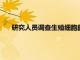 研究人員調查生殖細胞的持久性 盡管受到跳躍基因的損害