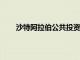 沙特阿拉伯公共投資基金將收購帕加尼30%的股份