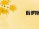 俄羅斯慶祝駕車者日