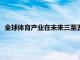 全球體育產(chǎn)業(yè)在未來三至五年內(nèi)的年增長率預(yù)計(jì)將放緩至3.3％