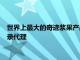 世界上最大的奇跡漿果產品生產商MiraBurst選擇5WPR作為記錄代理