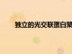 獨立的光交聯(lián)蛋白聚合物水凝膠用于持續(xù)釋放藥物