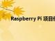 Raspberry Pi 項目使用 HDMI 端口啟用 I2C 接口