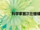 科學家首次在珊瑚和海葵中發現活的免疫細胞