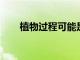 植物過程可能是預測干旱發展的關鍵