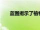 藍圖揭示了植物如何構建糖運輸通道