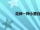 花鐘一種小蛋白質如何幫助花朵按時發育